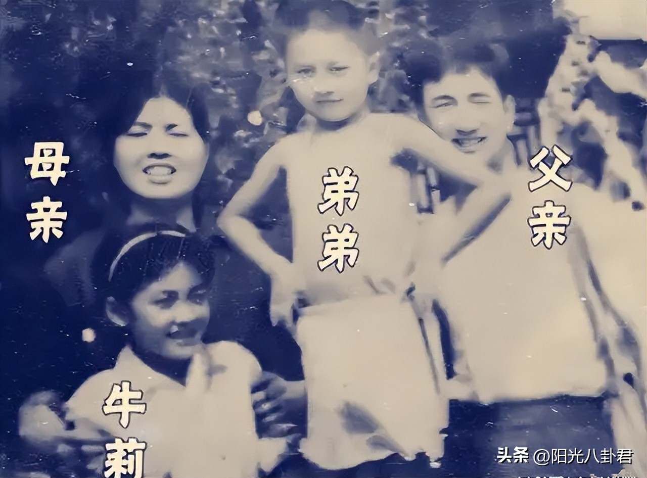 5位出道的明星,哪些明星以前做过运动员