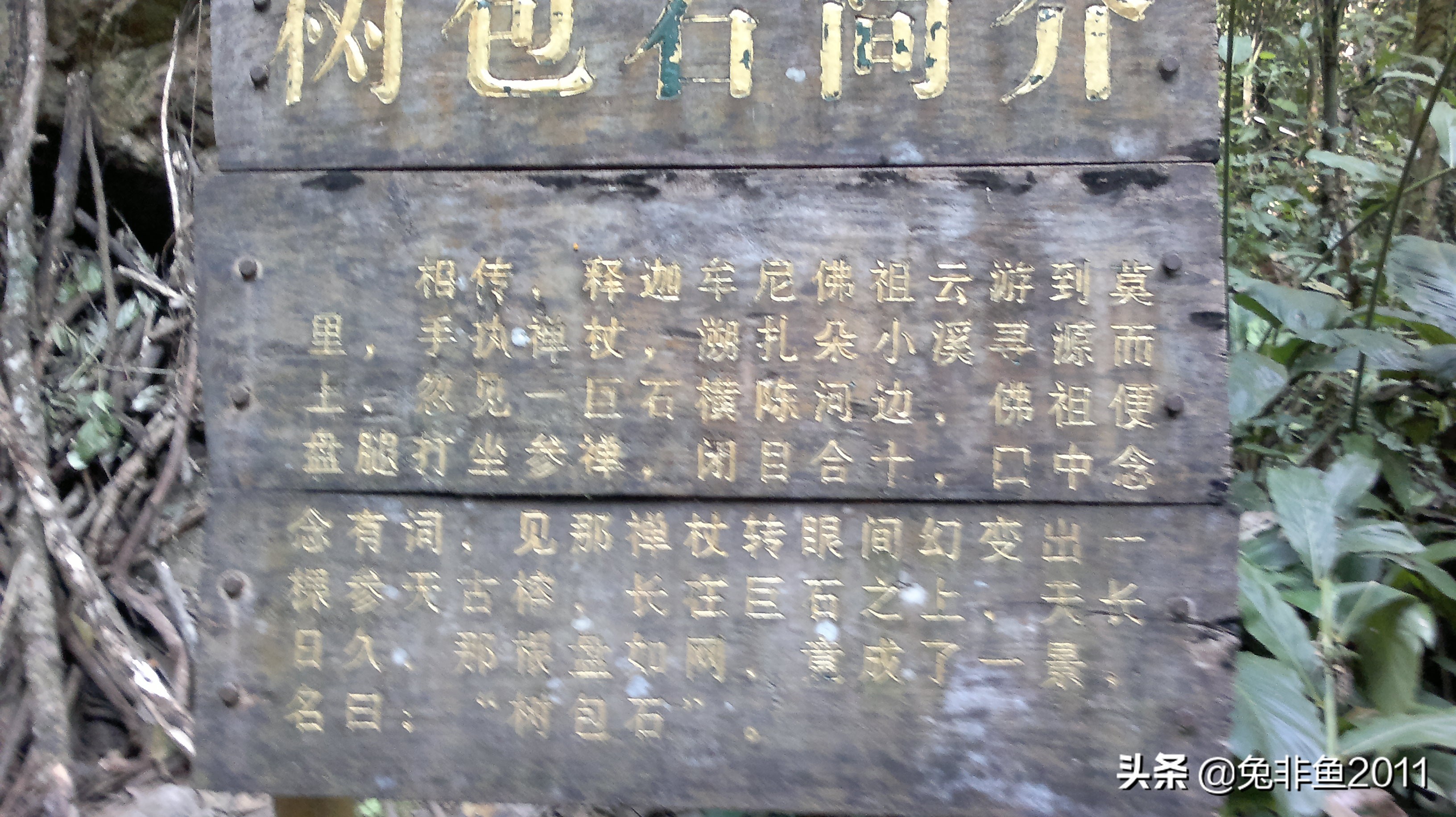 云南腾冲滇峰之旅,云南瑞丽中缅边境一日游