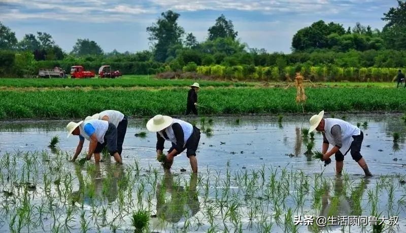 天府之国是该火一把了