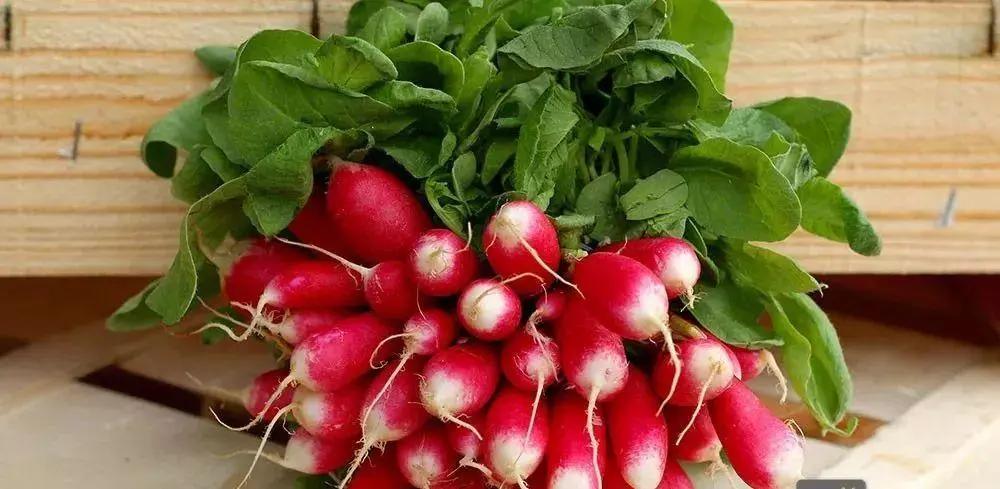 萝卜糠心的原因及解决方法,糠心的萝卜还能吃吗