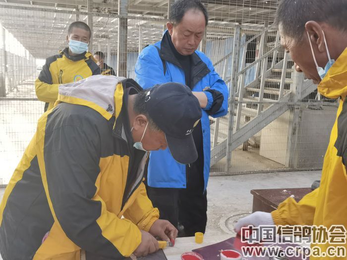 2022年“洲际杯”执裁实录：宁夏万喜站300公里第一关