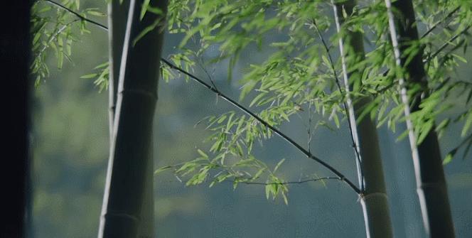 上巳节古老而有诗意的三月三,人间最美三月三