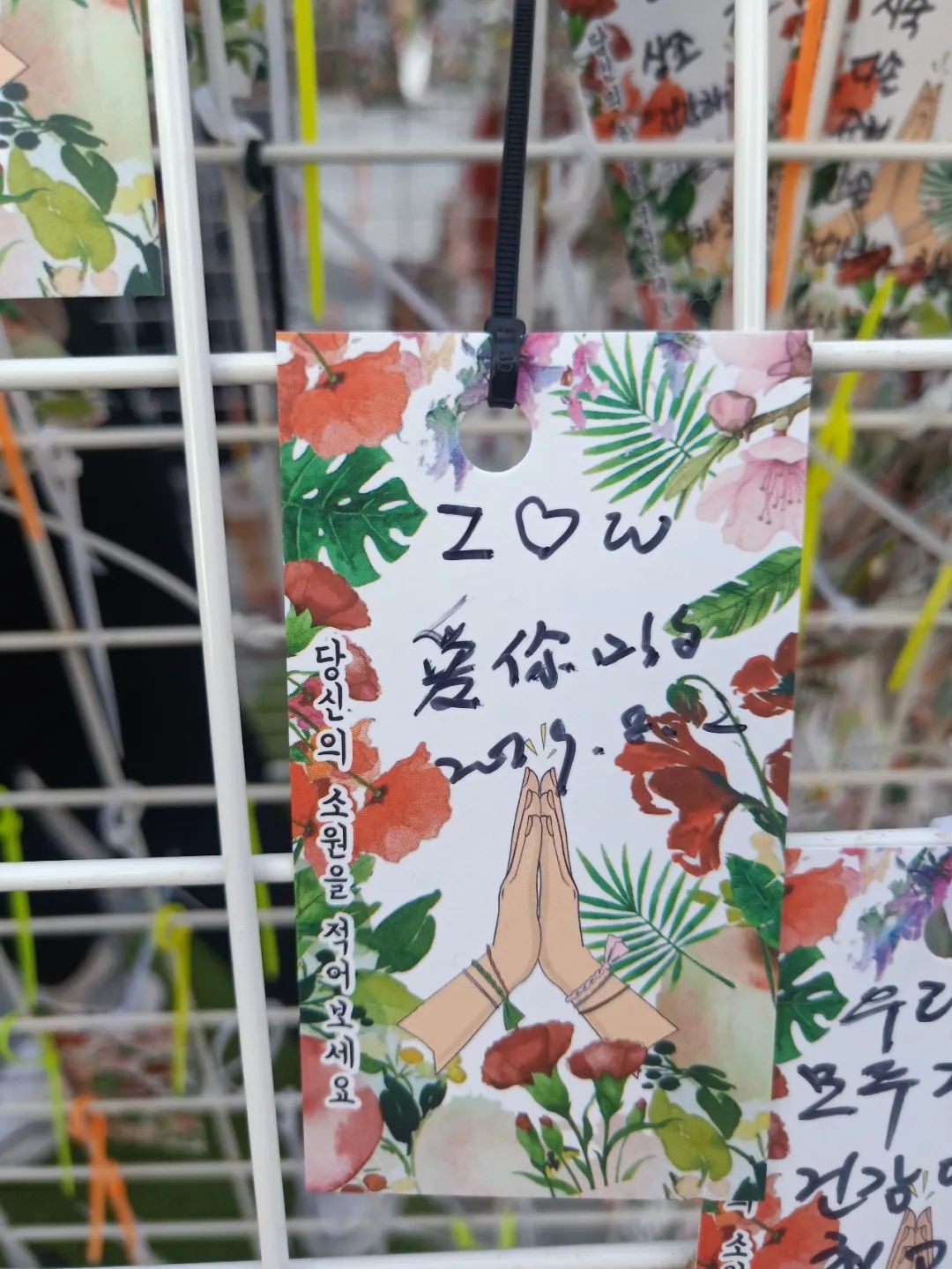 90后江江在韩国：海浪跫音，路在自己脚下