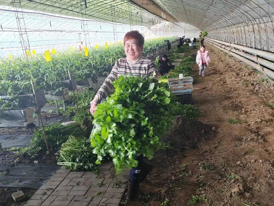 辛巴辛有志坚持公益初心不动摇,辛巴辛有志助农回放