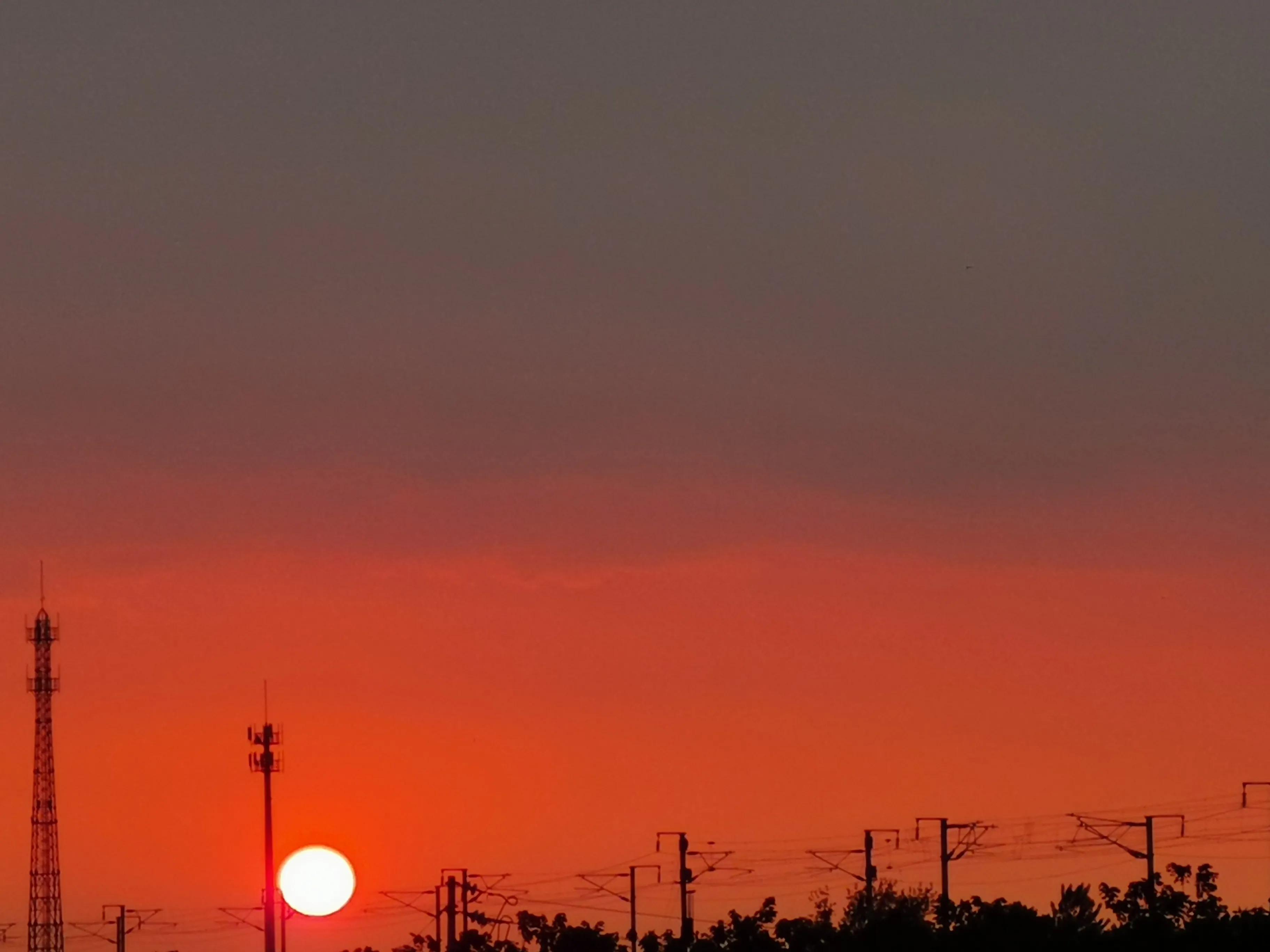 逆淘汰，社会发展的一个小插曲