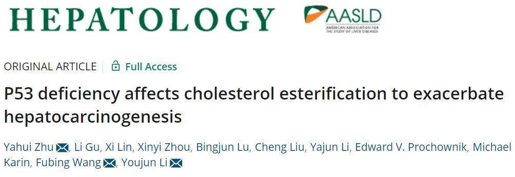 肝炎到肝癌的发展过程,肝癌早期最新研究报告