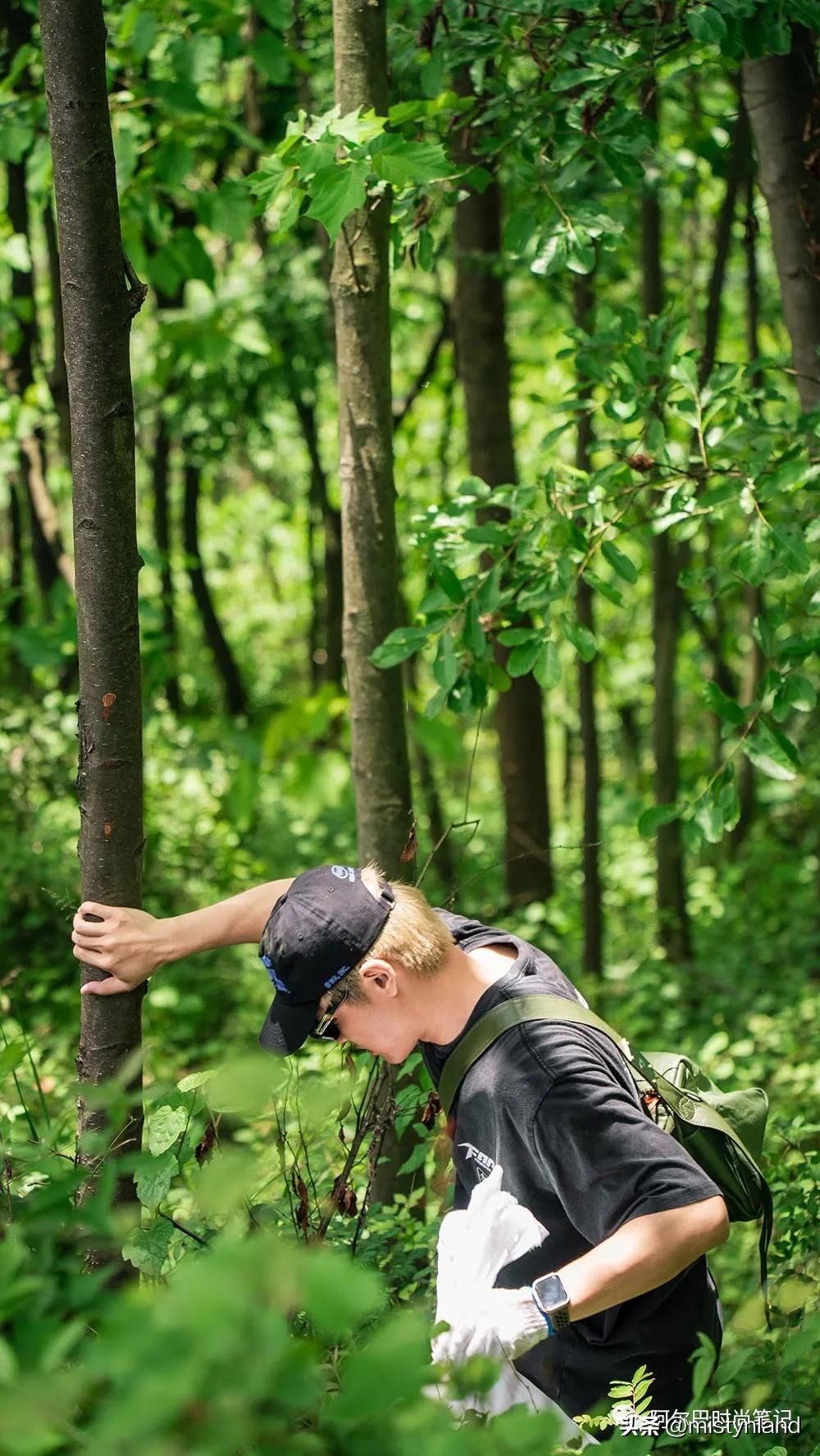 KOLONSPORT可隆,如何以一场山林徒步开启成都市场?