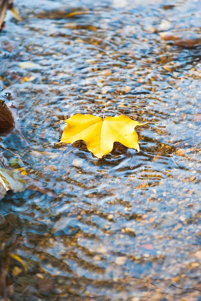 赵丽宏的散文山雨,赵丽宏散文精选好段