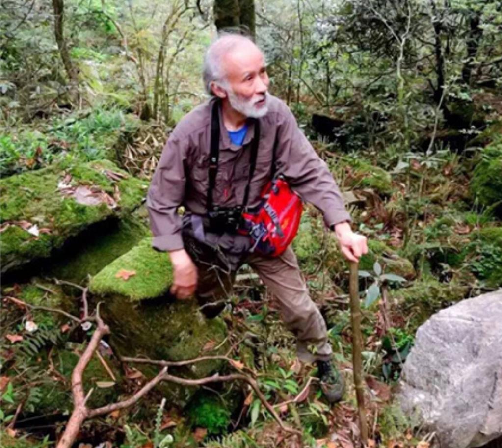 蛇中熊猫莽山烙铁头有多珍稀,蛇中大熊猫是什么蛇