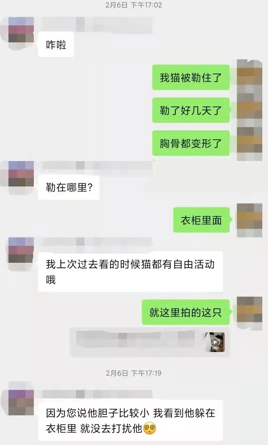 主人被隔离宠物怎么办,主人确诊了猫狗怎么办