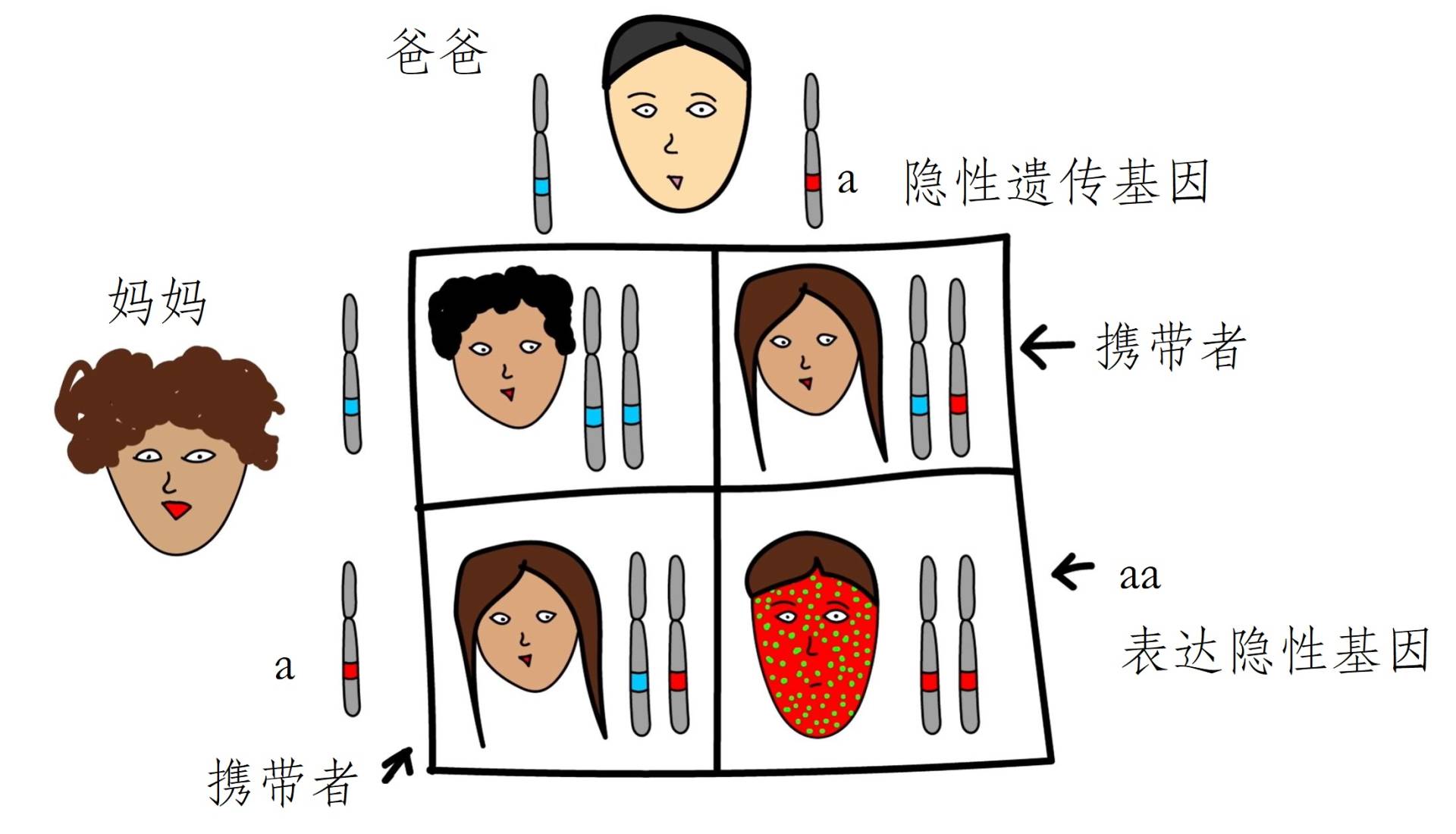 *亲近**繁殖危害很大！这是来自基因的“诅咒”，无法破解