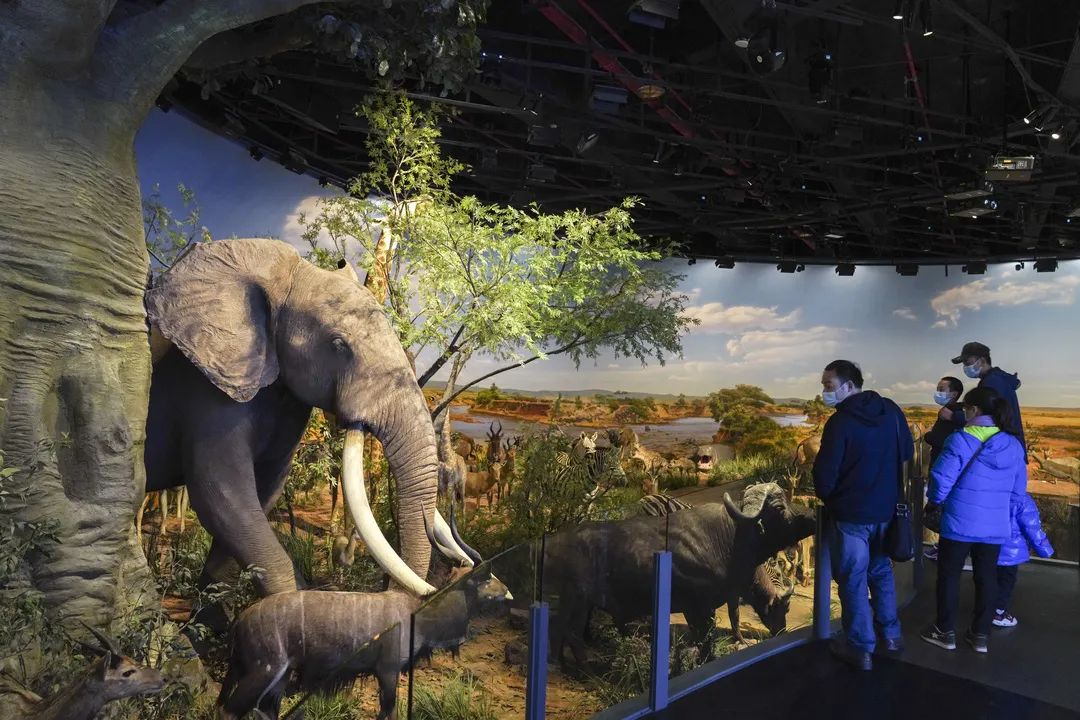 北碚:幸福之城美丽嬗变