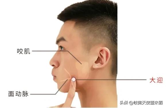 脸部三个美白穴,脸部抗皱抗衰的穴有哪些