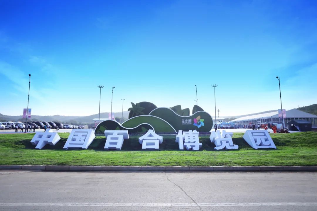 最美邂逅：百合博览园里美不胜收的名贵之花