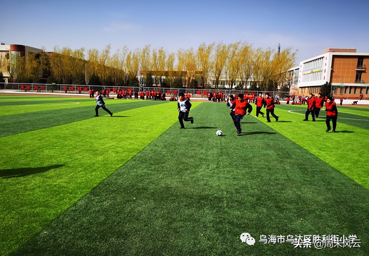 乌海“校长杯”：绿茵竞技场精彩连连看