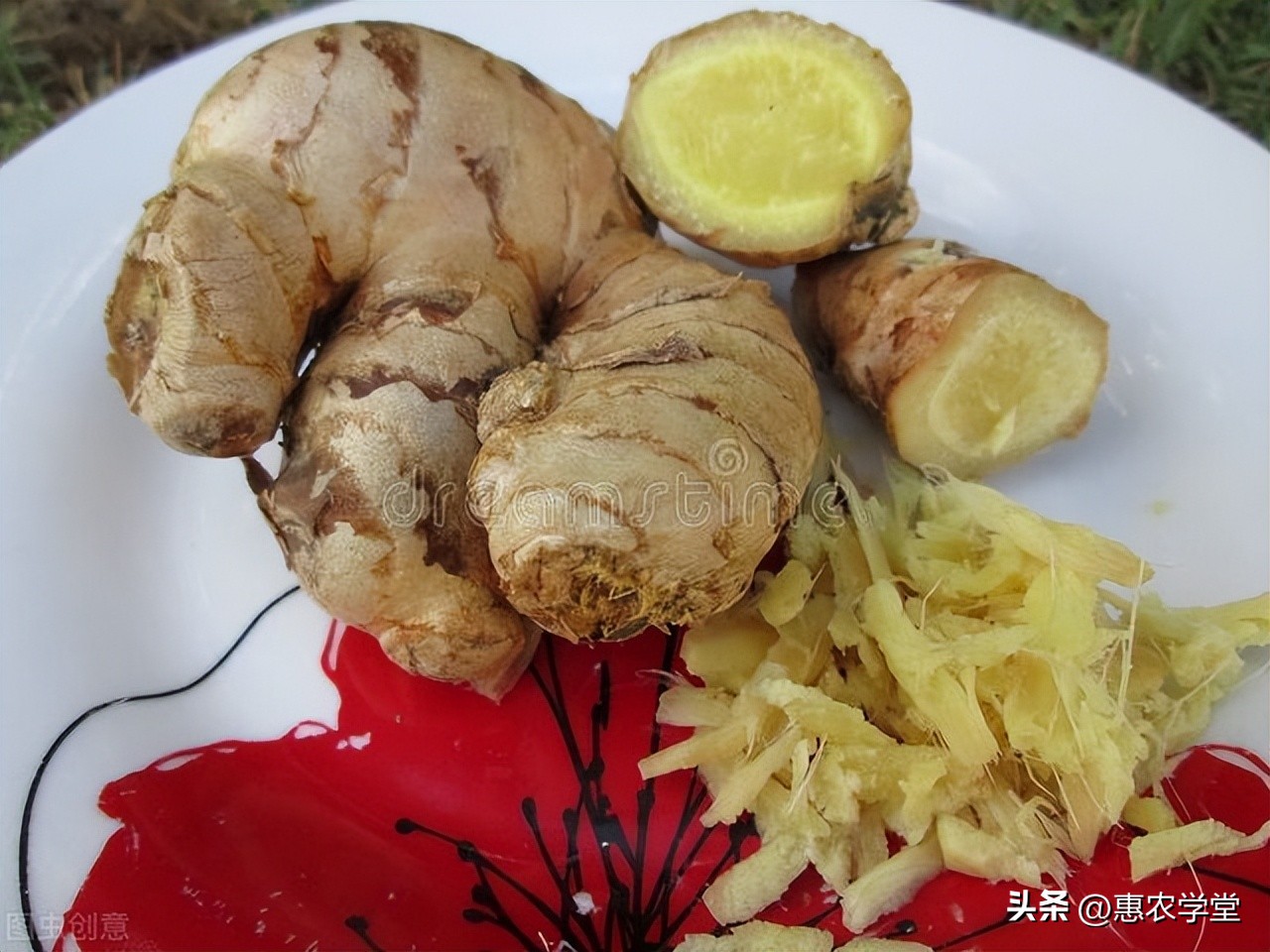 今年生姜的价格是多少钱一斤,今年生姜的价格卖多少钱一斤