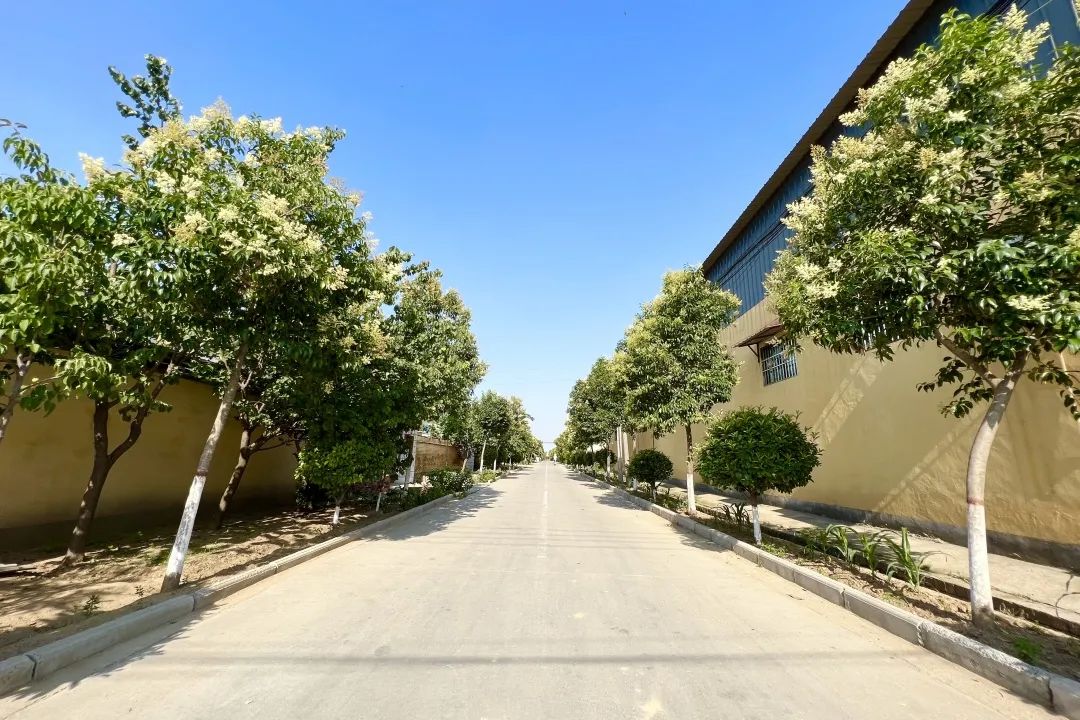 要建房子前是不是先画设计图,要建房的地属于红线怎么办