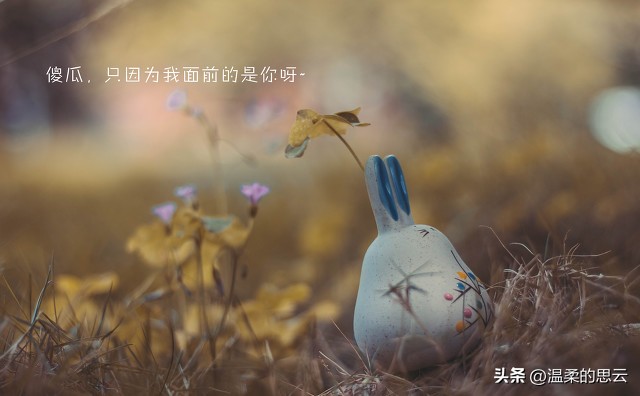 有蓝颜知己的女人对老公还有爱吗,已婚可以有蓝颜知己吗