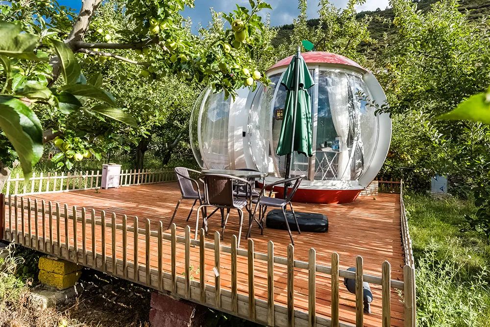 途远集团携手Bizworld硅谷少年财商营，走进“雪山脚下木栏村”