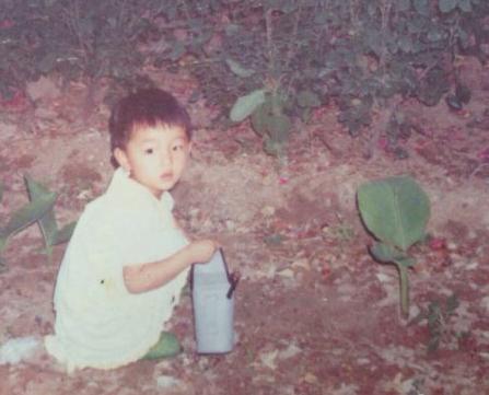 没有颜值没身材周冬雨为何如此红,其貌不扬的周冬雨为什么备受关注