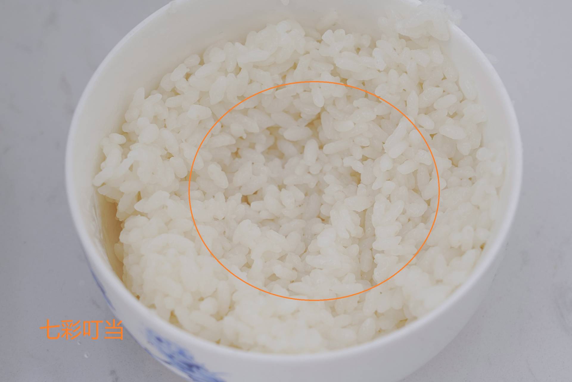 家用电压力锅怎么选,小家庭电压力锅推荐