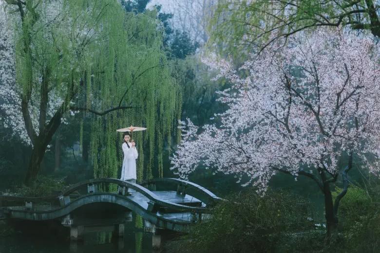 你还知道哪些描写花的古诗词呢,关于花的古诗词经典唯美名句