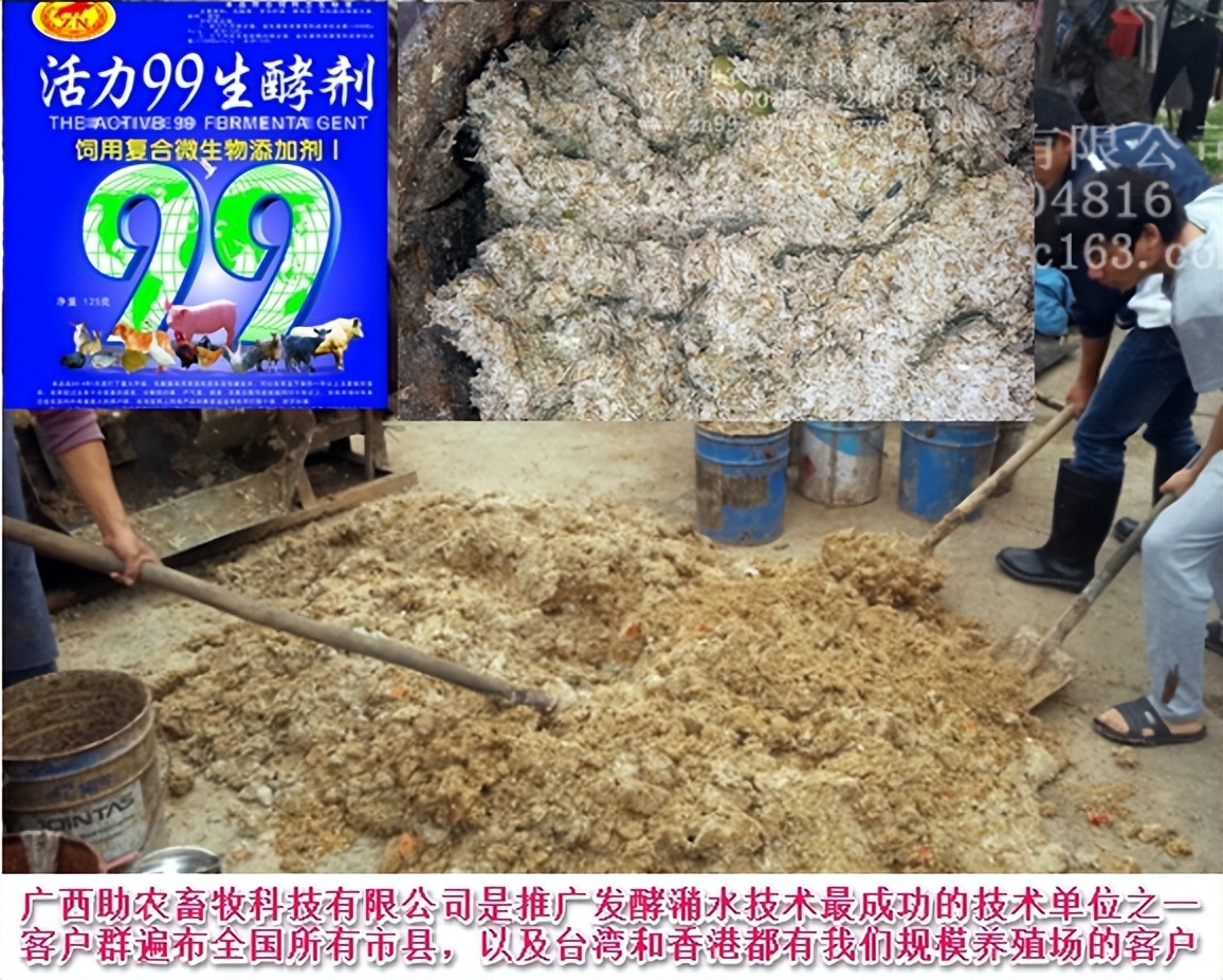 加强型活力99生酵剂—以高浓度乳酸菌，更好用的专业益生菌发酵剂