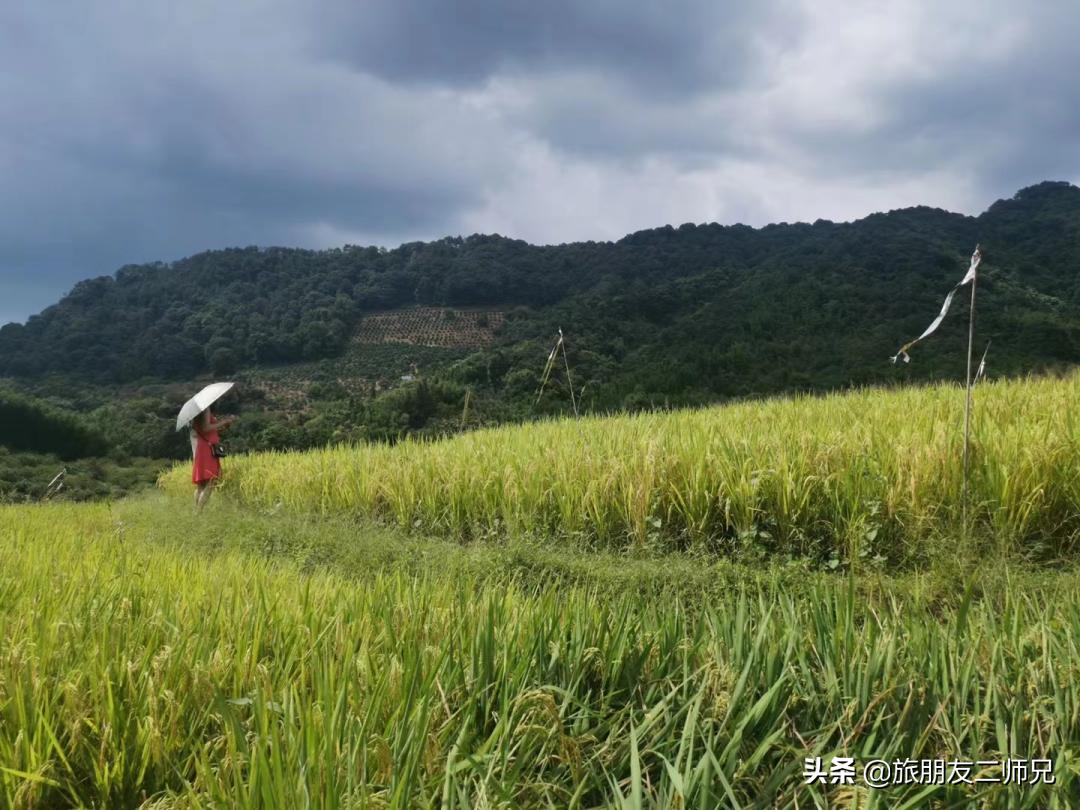 从化吕田一日游必去景点,从化溪头村自驾徒步攻略