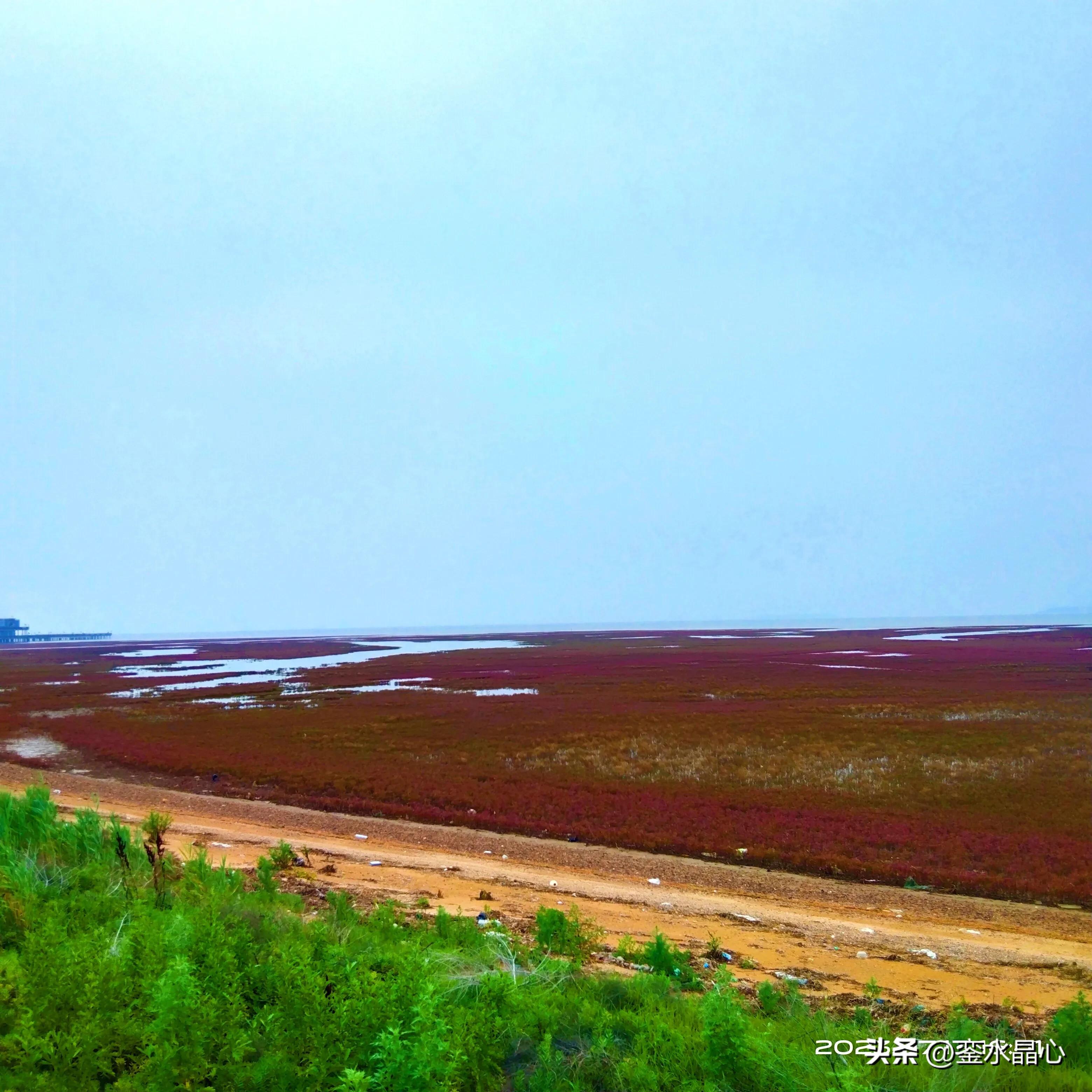 兴城红海滩值得去吗,兴城红海滩十月一日去红吗