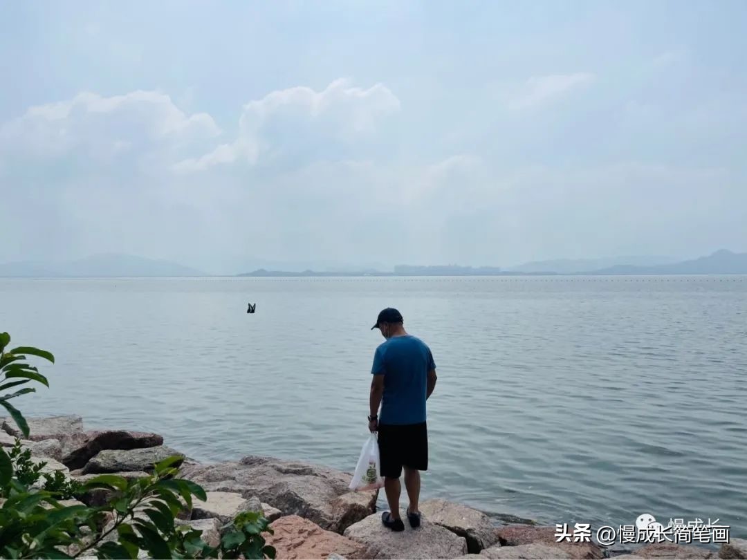 爸妈今天回家了原唱完整版,爸妈今天回老家了我的心情