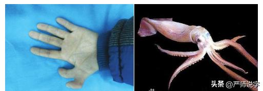 常用汉字偏旁部首名称大全完整版,汉字偏旁汇总一览表