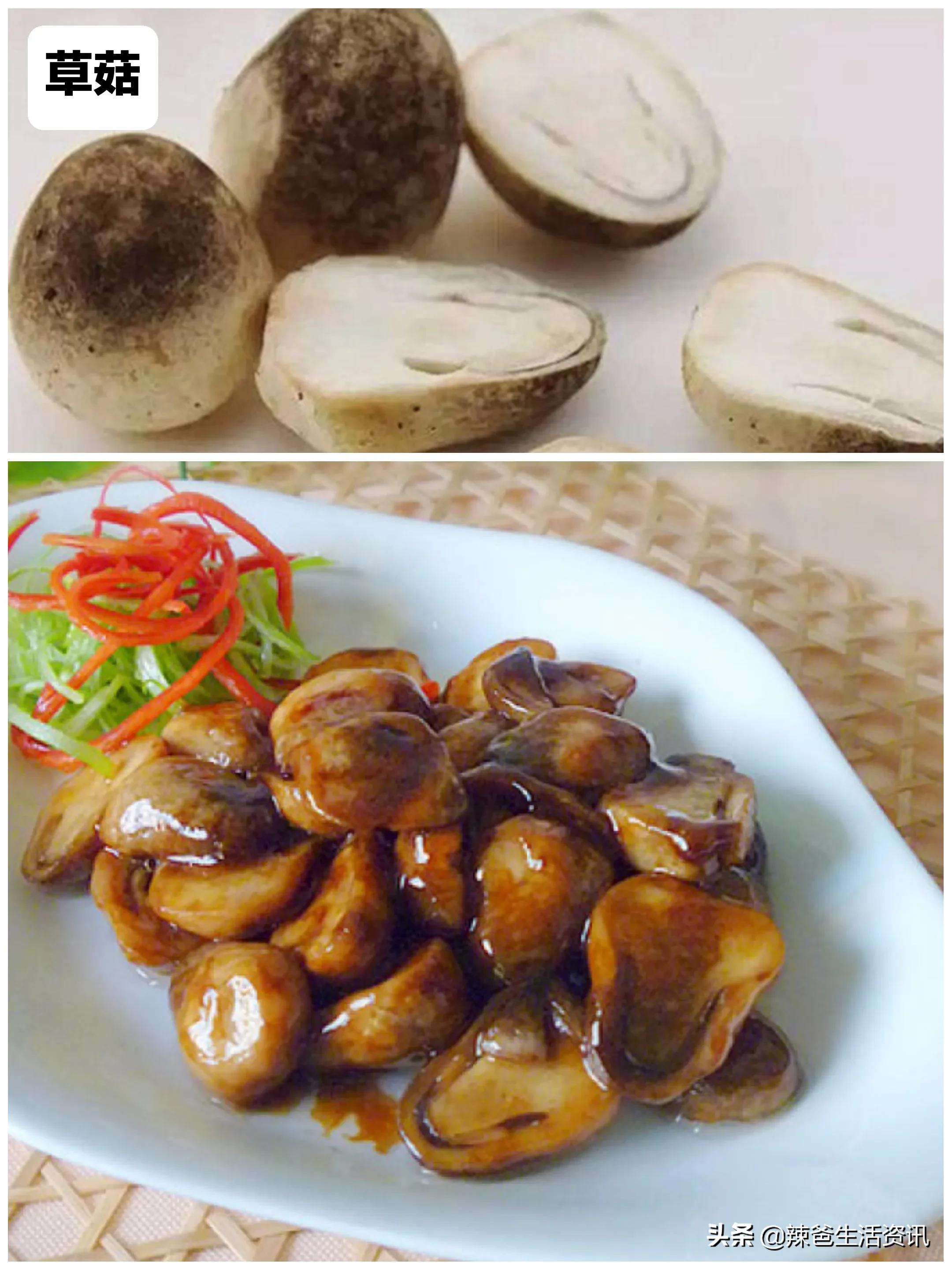 100种食用蘑菇大全,蘑菇的12种最佳吃法