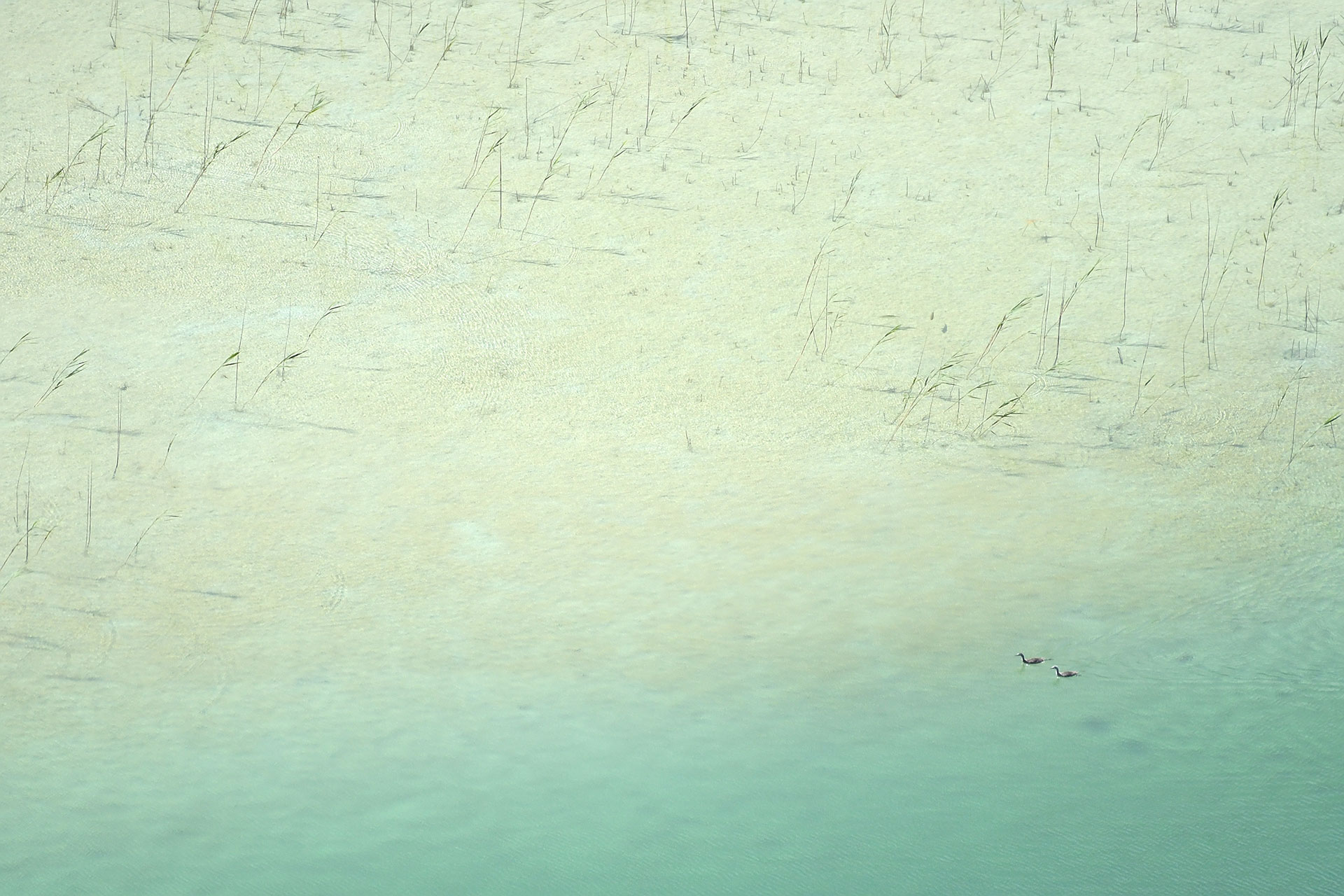 自然就是美,自然就是美歌曲