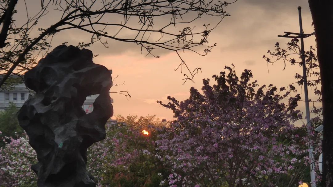 小红书运营新手入门,新手小白如何做小红书定位