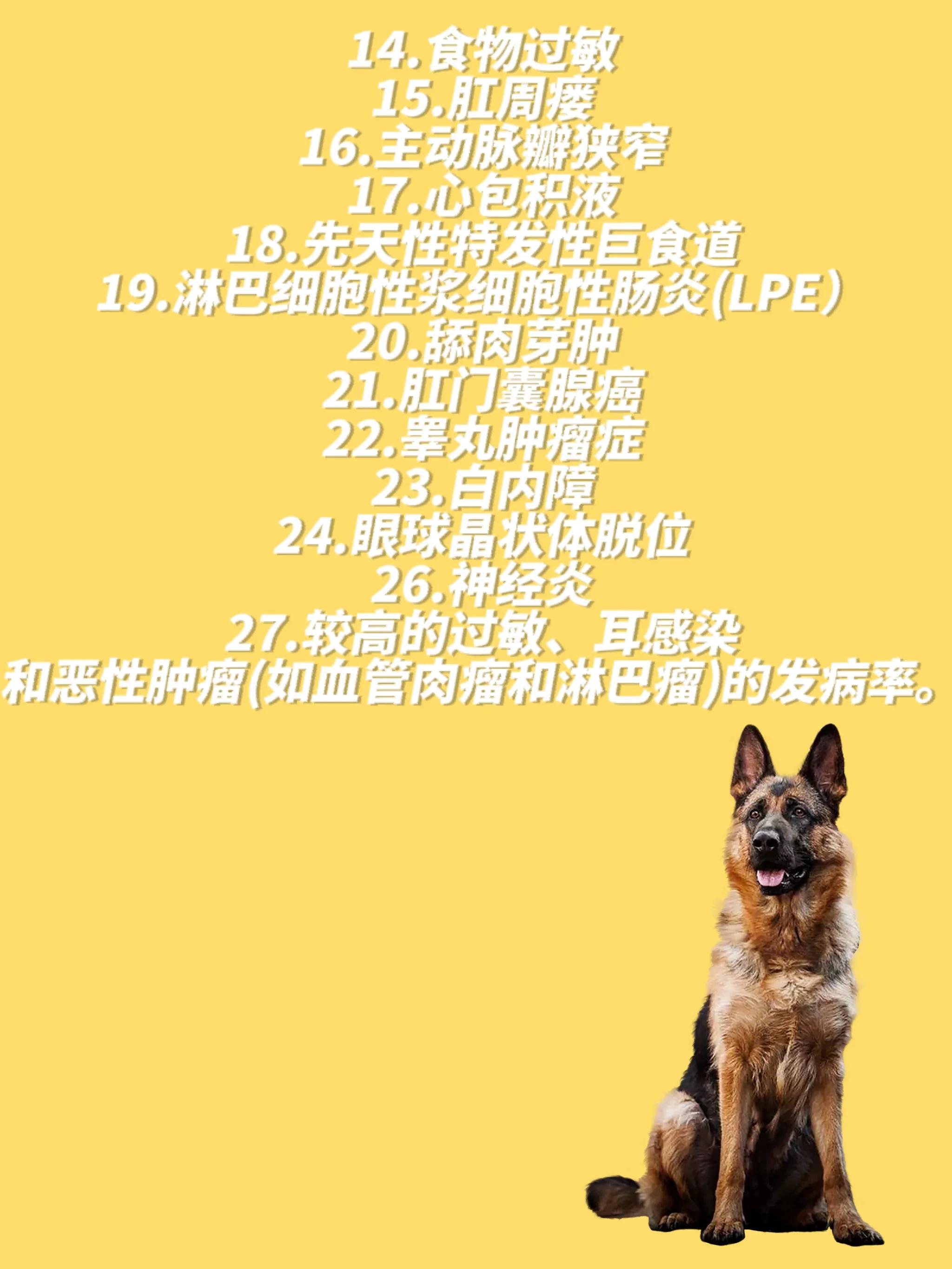 德国牧羊犬疾病,关于德国牧羊犬的小知识