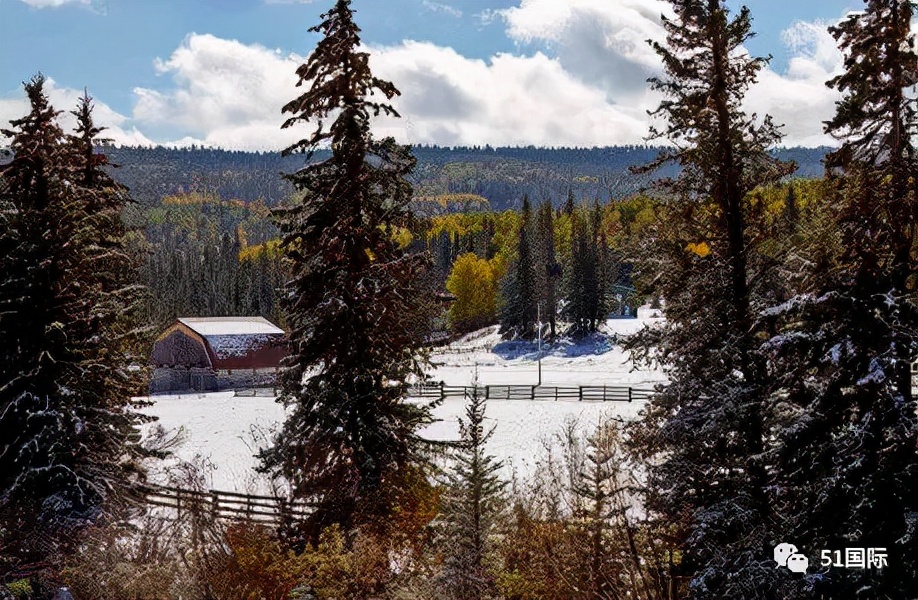 加拿大college留学优缺点,留学加拿大都有哪些优势呢