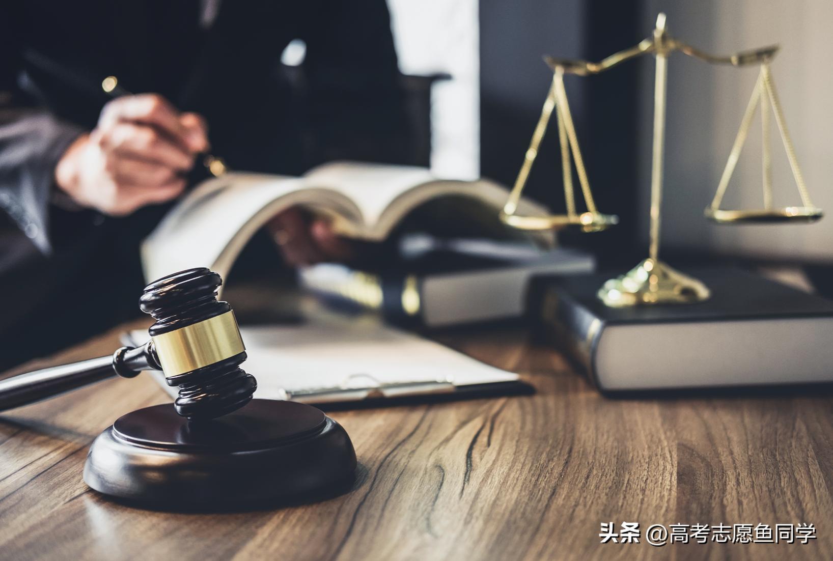 学霸专业金融法律临床,近年来理科生报考最多的十大专业