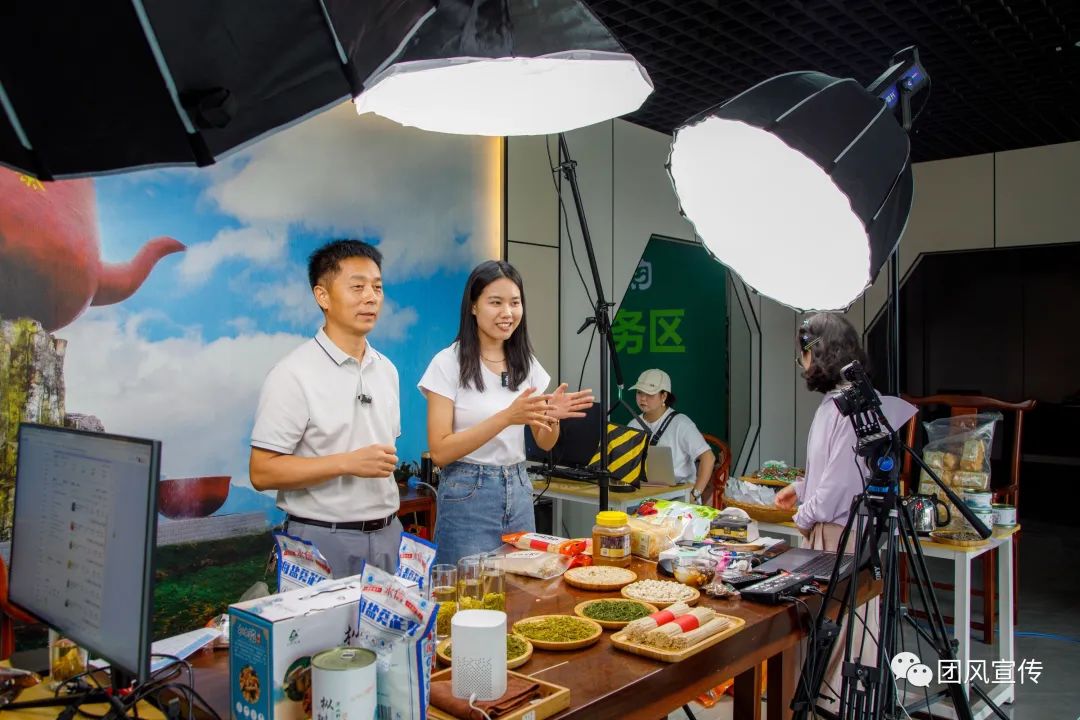 奏响新时代乡村振兴交响曲,团风县乡村振兴局项目公示