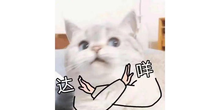 尊嘟假嘟的英语,尊嘟假嘟日语怎么说