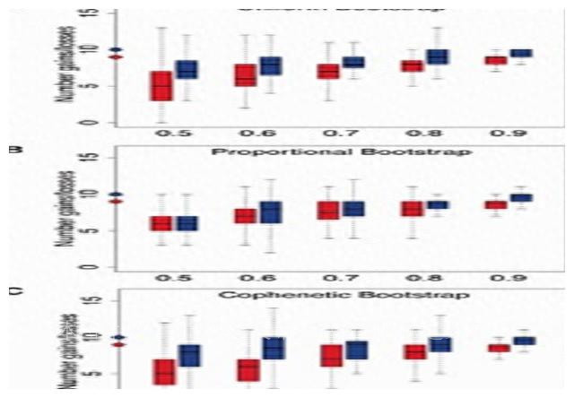 人类祖先的“丁丁”有骨头，现代人类怎么没有“丁丁骨”了呢？