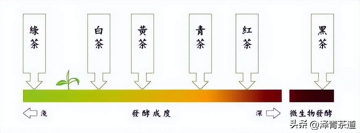 绿茶红茶黑茶白茶黄茶青茶,绿茶红茶青茶白茶黑茶黄茶哪个好