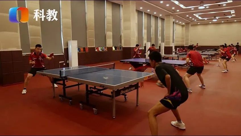 弘扬体育教育,弘扬体育精神坚定文化自信