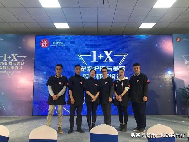 考宠物美容师证需要哪些条件呢,宠物美容师资格证哪个含金量高