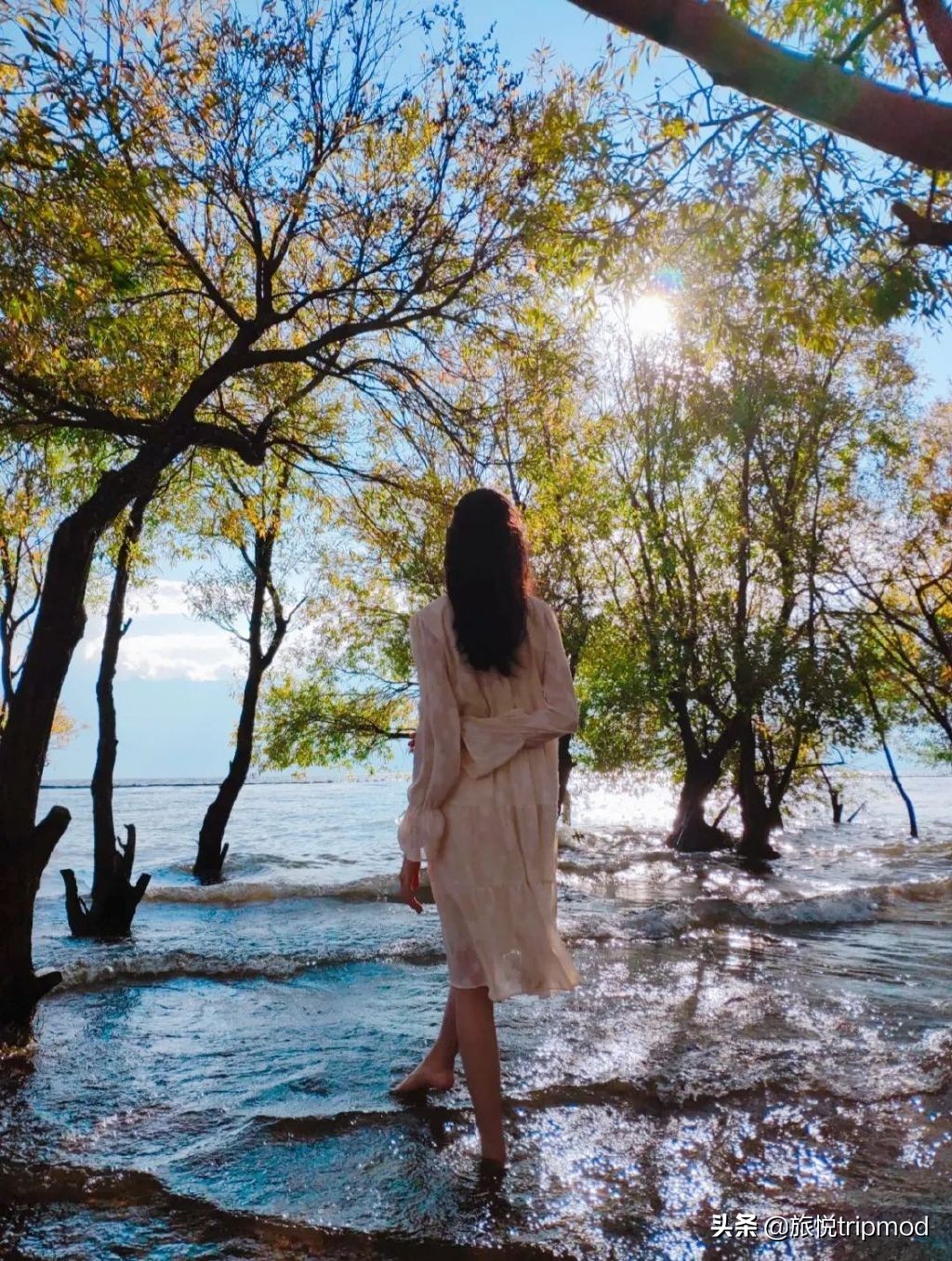 三亚免费适合自驾的环海公路,三亚最美环海公路推荐