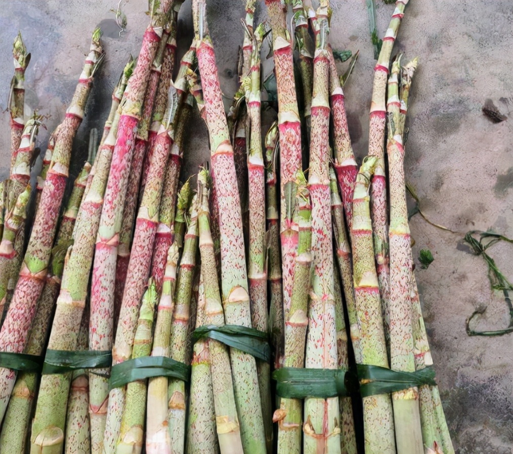 酸筒杆：酷似竹子，茎秆是儿时的零食，但根才是稀罕货，20元1斤