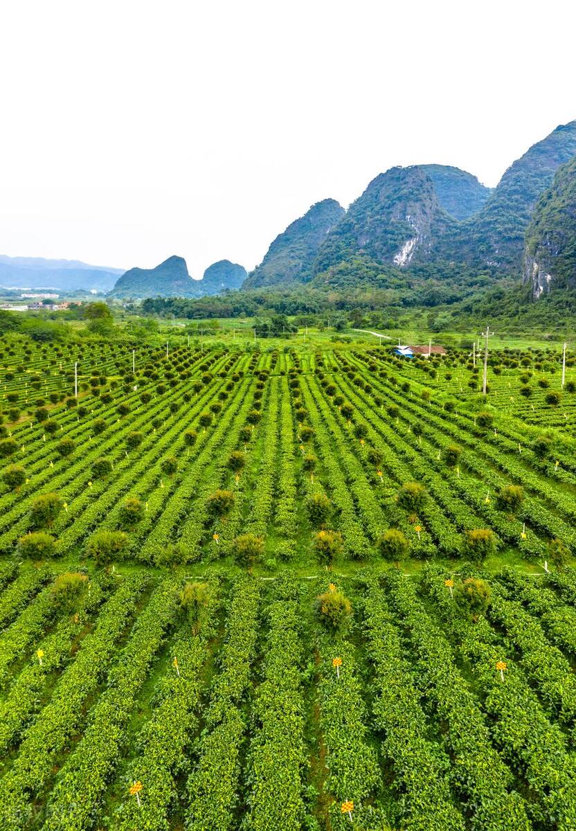 清远英德老虎谷溶洞漂流,广州出发清远三天两夜旅游攻略