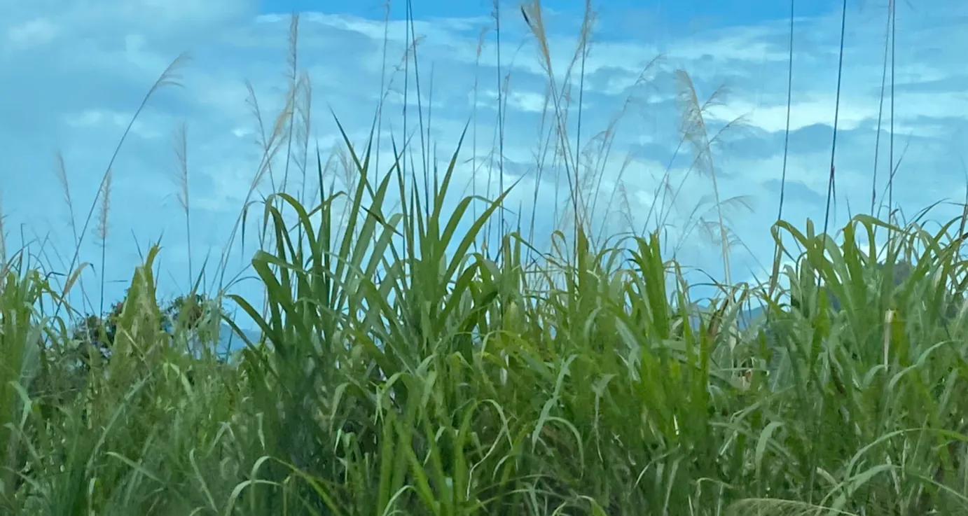 挂锁的村庄,曾经满是烟火故事