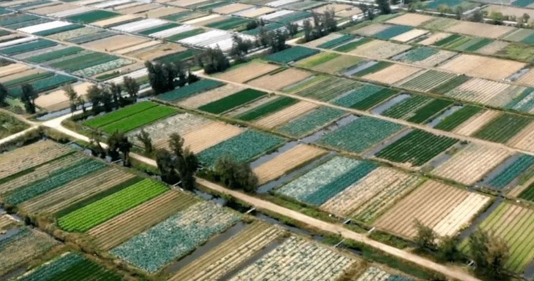 如果日本沉没会发生什么事,关于日本沉没的消息