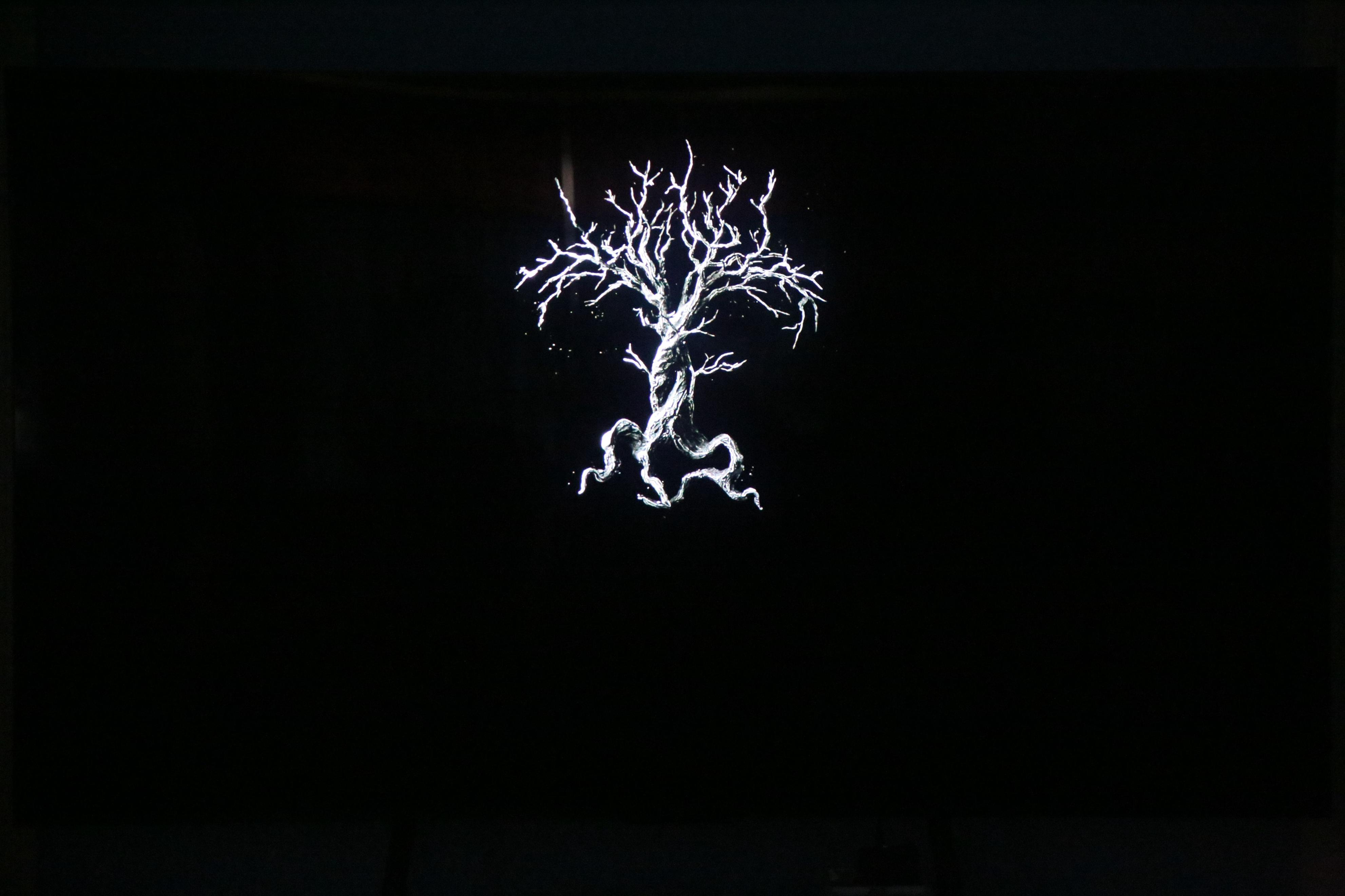 推荐一款性价比高的tcl电视,2023年热销的tcl电视