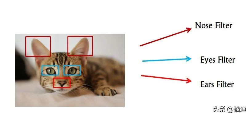 如何用chatGPT来做图像识别,神经网络图像识别特征矩阵